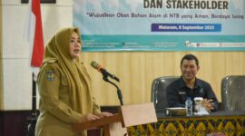 Wagub NTB Hj Indah Putri Damayanti