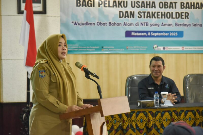 Wagub NTB Hj Indah Putri Damayanti