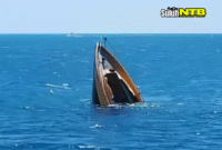 Kapal migran dari Gambia tenggelam di Mauritania, 70 tewas dan puluhan hilang. Rute laut Afrika Barat kembali telan banyak korban.
