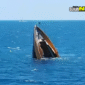 Kapal migran dari Gambia tenggelam di Mauritania, 70 tewas dan puluhan hilang. Rute laut Afrika Barat kembali telan banyak korban.