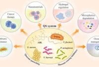 komunikasi bakteri, foto dari Wiley Online Library