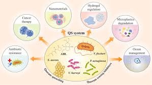 komunikasi bakteri, foto dari Wiley Online Library