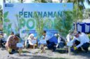 PT PLN Energi Primer Indonesia (PLN EPI) menanam 2.500 pohon cemara udang di kawasan Pantai Induk Lombok, Jeranjang, Lombok Barat, Nusa Tenggara Barat, melalui kegiatan bertajuk MenEPI untuk Bumi 2026 yang digelar dalam rangka memperingati Hari Keanekaragaman Hayati. (Dok PLN EPI)