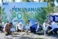 PT PLN Energi Primer Indonesia (PLN EPI) menanam 2.500 pohon cemara udang di kawasan Pantai Induk Lombok, Jeranjang, Lombok Barat, Nusa Tenggara Barat, melalui kegiatan bertajuk MenEPI untuk Bumi 2026 yang digelar dalam rangka memperingati Hari Keanekaragaman Hayati. (Dok PLN EPI)