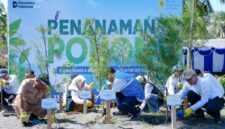PT PLN Energi Primer Indonesia (PLN EPI) menanam 2.500 pohon cemara udang di kawasan Pantai Induk Lombok, Jeranjang, Lombok Barat, Nusa Tenggara Barat, melalui kegiatan bertajuk MenEPI untuk Bumi 2026 yang digelar dalam rangka memperingati Hari Keanekaragaman Hayati. (Dok PLN EPI)