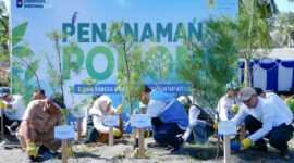 PT PLN Energi Primer Indonesia (PLN EPI) menanam 2.500 pohon cemara udang di kawasan Pantai Induk Lombok, Jeranjang, Lombok Barat, Nusa Tenggara Barat, melalui kegiatan bertajuk MenEPI untuk Bumi 2026 yang digelar dalam rangka memperingati Hari Keanekaragaman Hayati. (Dok PLN EPI)